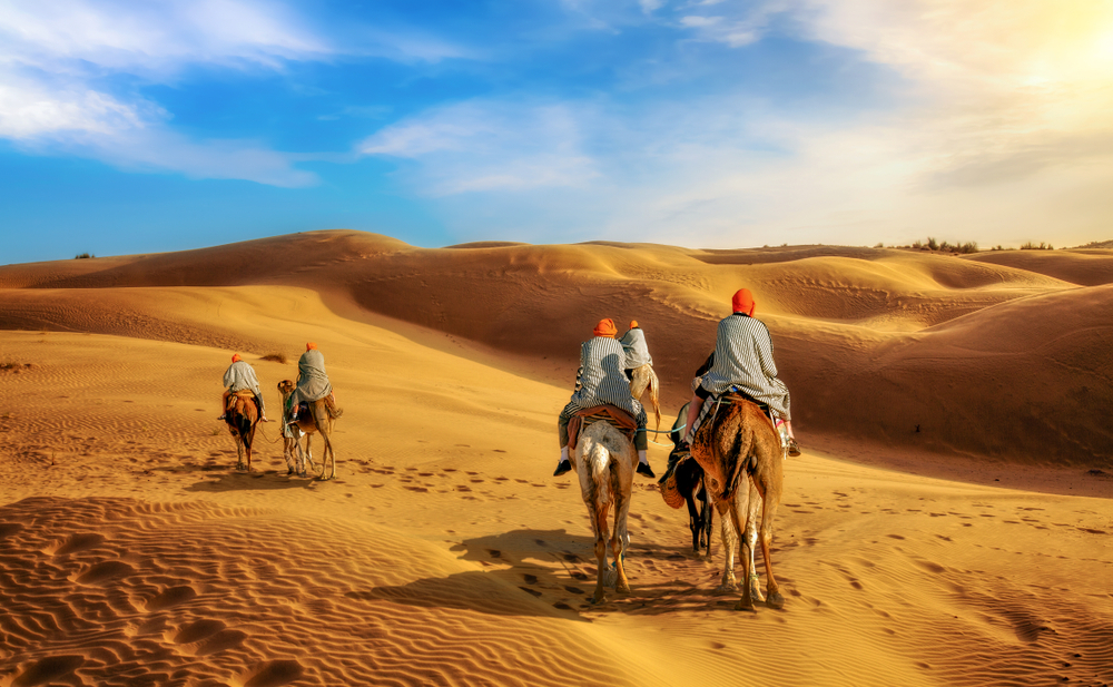 THAR JOURNEY