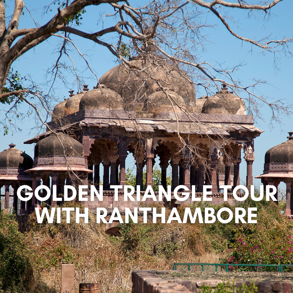 Golden Triangle Tour With Ranthambore